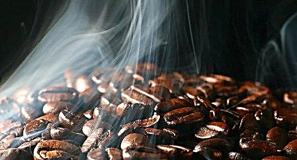 Az alacsony világárak fenyegetik a termelőket és a jövőbeli kávét