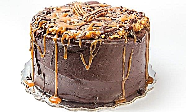 Gâteau au chocolat aux noix - recette: description et photo