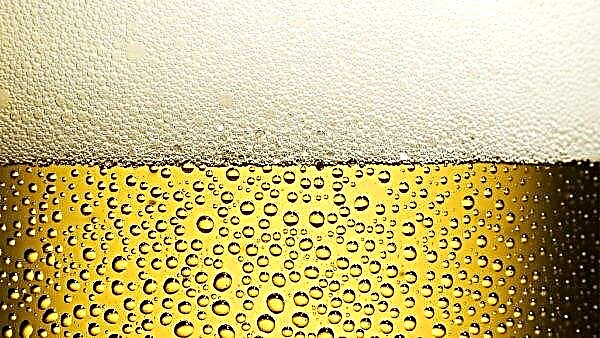 La boue de bière déclare la guerre à la drosophile audacieuse