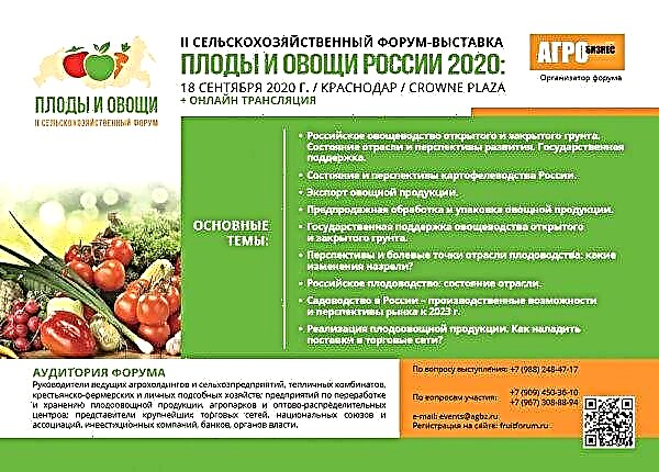 The annual international forum "Fruits and Vegetables of Russia 2020" will be held in Krasnodar