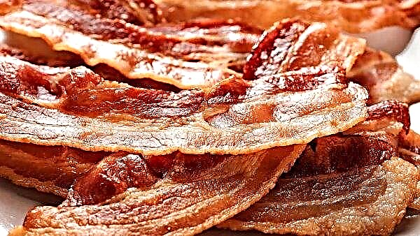 Na nova planta bielorrussa, os porcos serão colocados em bacon