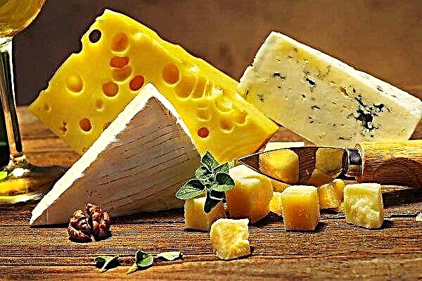 Canadian Dairy Company adquiere negocio de queso australiano