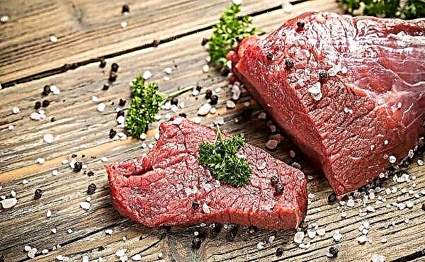 Kalmyk meat - more and more