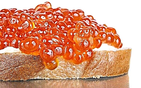 Scarce gifts: Rosselkhoznadzor intends to limit the export of red caviar from the Far East