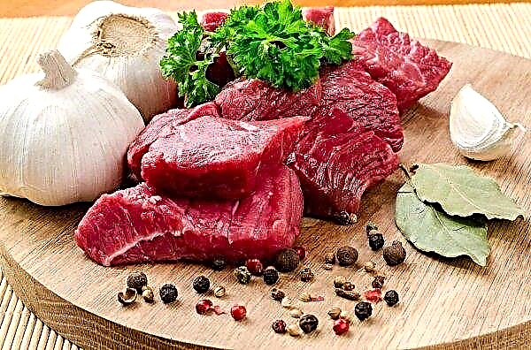 British researchers on moderate consumption of red meat and oncology