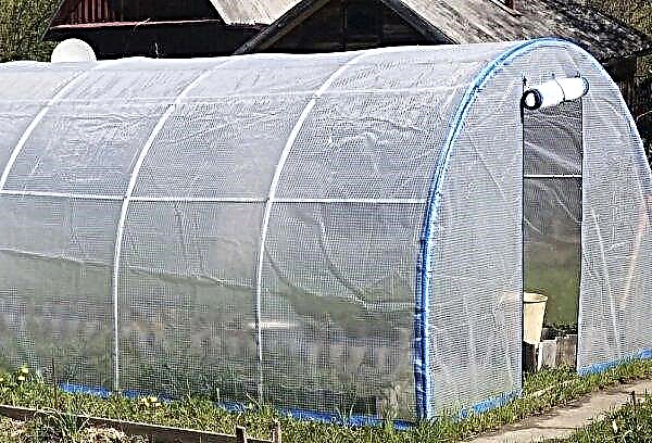 Do-it-yourself greenhouse from a film: basic norms, pros and cons, choice of materials, installation and operation, photo, video
