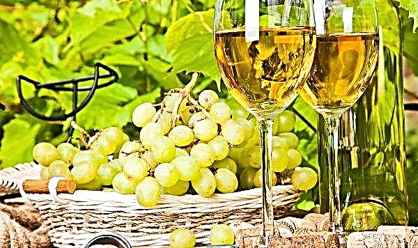 Argentina ledet av World Wine Trade Group