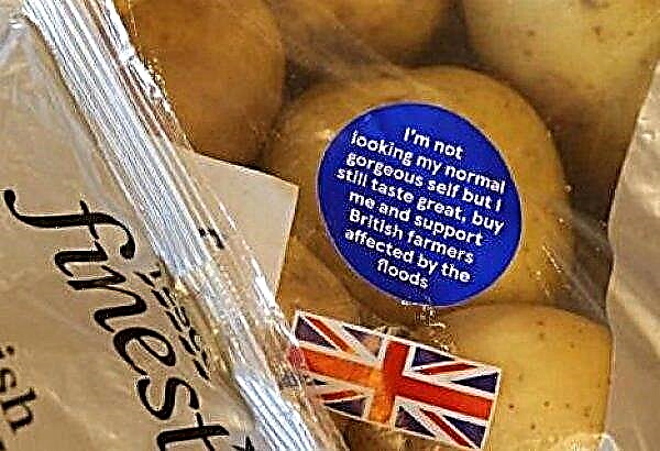British farmers have found a way to sell flooded potatoes