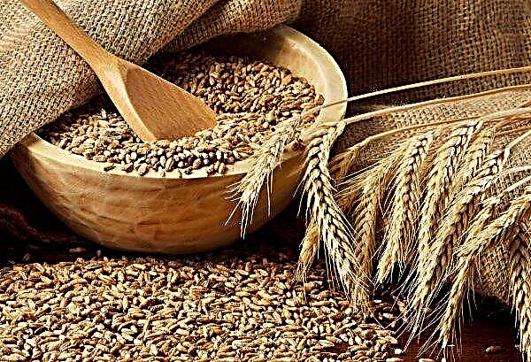 Bielorrusia trilló un millón y medio de hectáreas de campos de cereales
