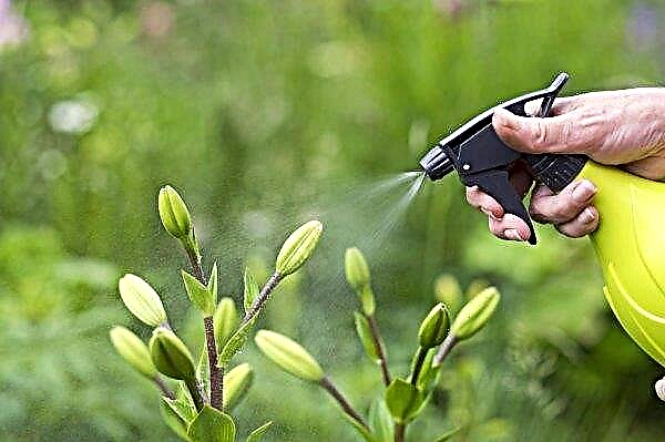 Čerkasų regione nėra pesticidų