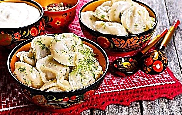 Love for dumplings inspired the Ural youth to radically change his name