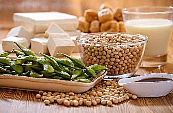 SOPA demands an increase in customs duty on raw soybeans to 45 percent