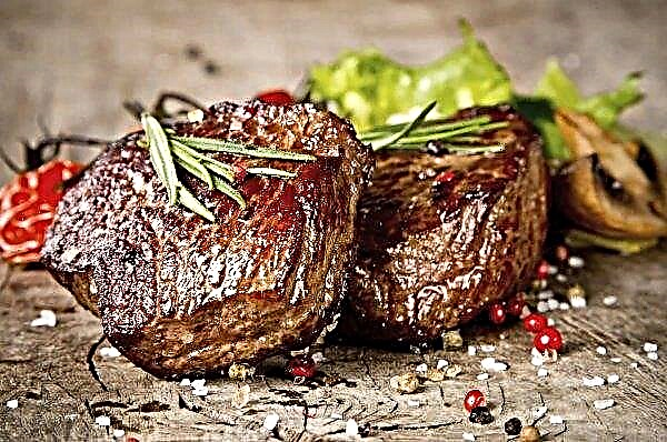 In Dagestan will be one more meat factory