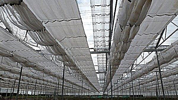 $ 30 million greenhouse under construction in India