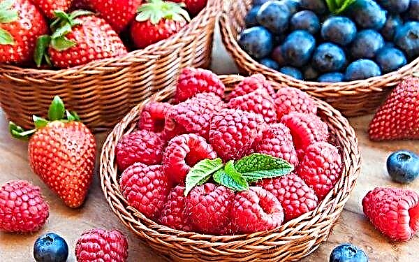 Volyn farm grows organic berries and vegetables