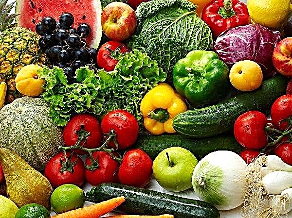 Eurasian Economic Commission adopted a recommendation on the production and export of vegetables