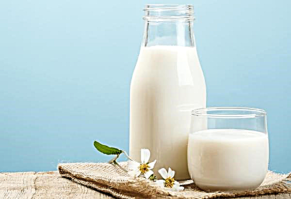 Op het festival in Basjkirostan dronk 60 duizend glazen "positieve" melk