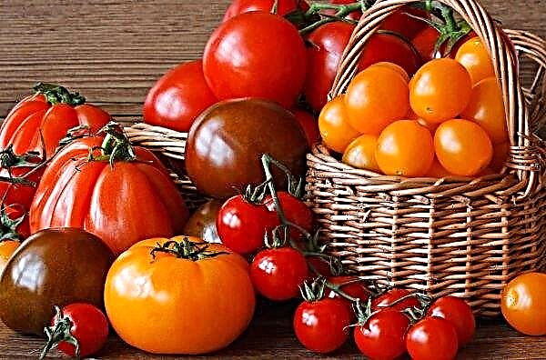Sweden outbreaks of salmonellosis linked to tomato consumption