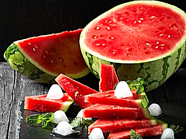 Zuid-Russische meloenen verkochten bijna alle watermeloenen