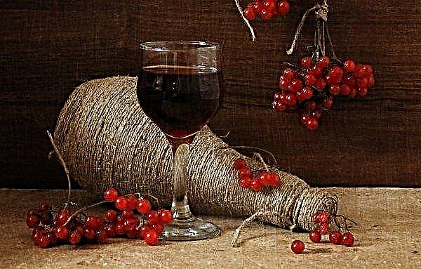 Una receta simple para vino de viburnum rojo en casa que diluir el vino