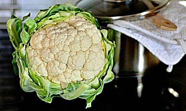 Cauliflower with pancreatitis: possible or not, useful and harmful properties, contraindications, intake rates