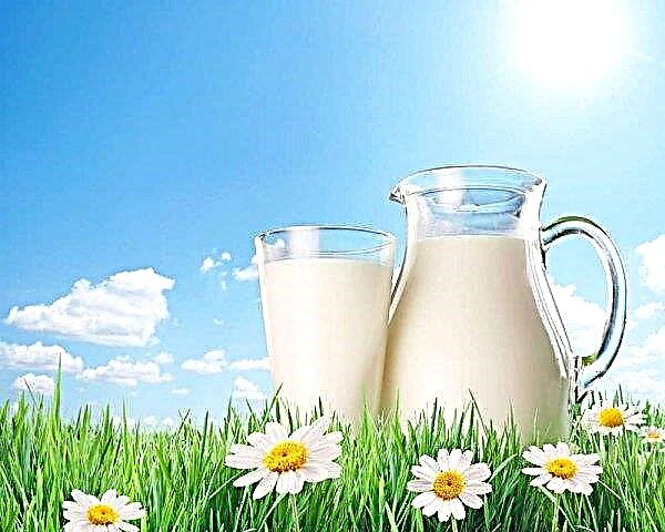 Der grenzüberschreitende Milchriese wird den Kaufpreis für Milch senken