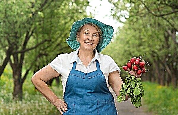13 milhões de mulheres russas agricultoras trabalharão 4 horas a mais?