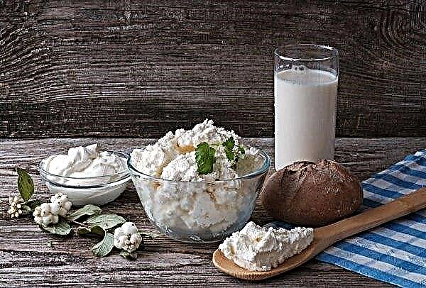 Dairy industry of Ukraine will receive $ 2.6 million from the World Bank