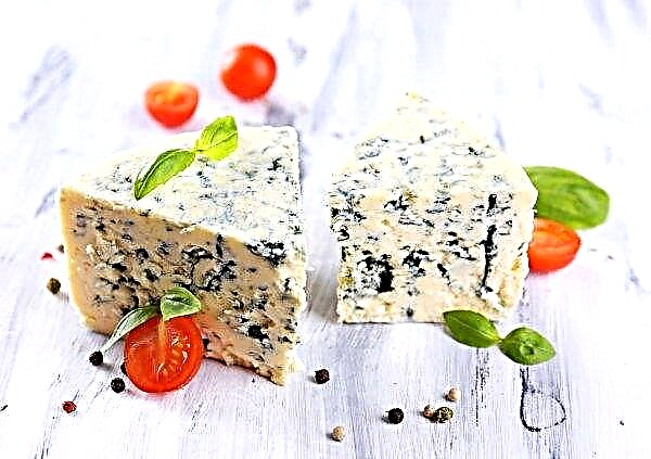 Το τυρί τσουκνίδας, το τυρί καφέ και άλλα εκπληκτικά προϊόντα κατασκευάζονται από τον κατασκευαστή τυριών Kremenchug
