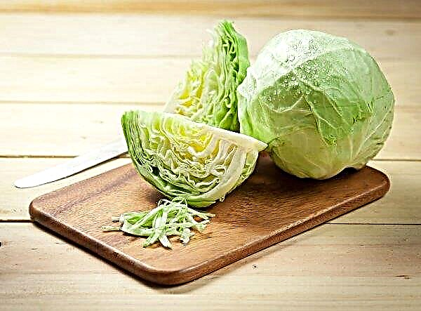 Cabbage rises in price on the Russian market