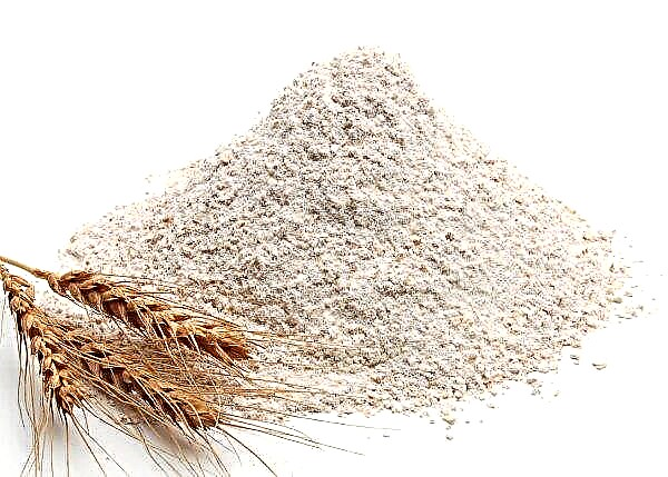 La región de Kiev puede convertirse en el único productor de harina en Ucrania