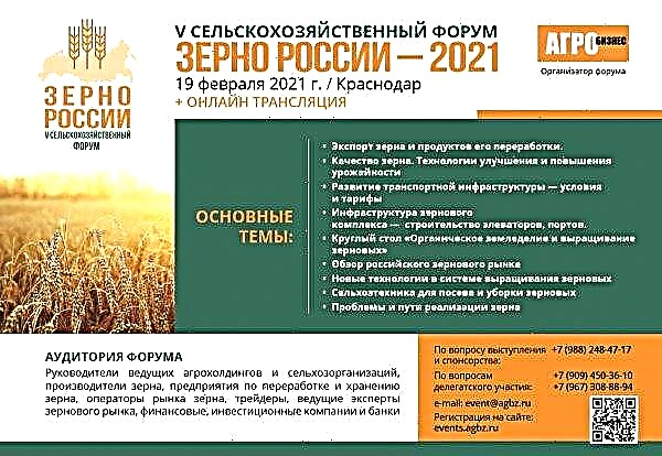 El 19 de febrero de 2021, el V Foro Agrícola "Granos rusos - 2021" se llevará a cabo en Krasnodar