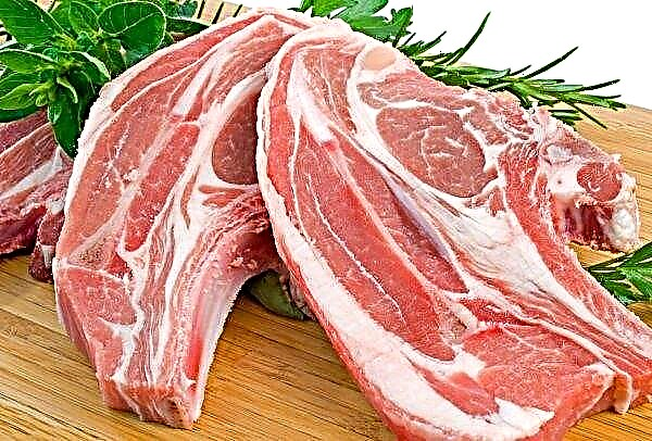 En Ucrania, el aumento del precio de la carne de cerdo.