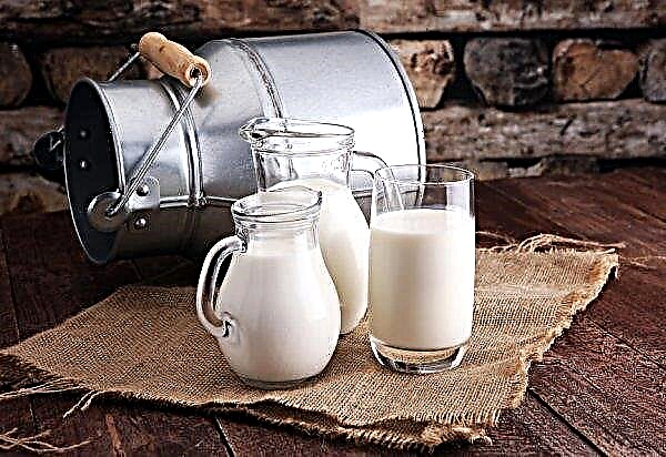 Saratov milkmen surpassed themselves