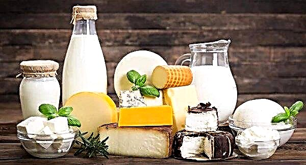 Lakeland Dairies: ganancia récord para una compañía internacional de lácteos