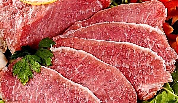 Departamento de Agricultura dos EUA prevê futuro positivo para a produção de carne suína
