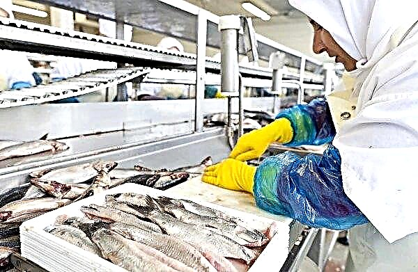 Brexit to hit Scotland's fish processing and agriculture