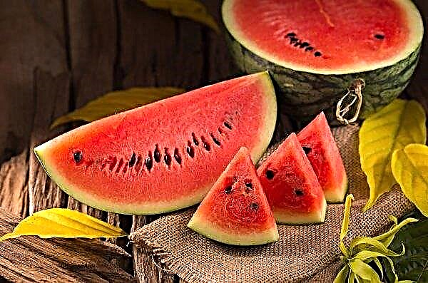 I Kherson-regionen kunngjorde en konkurranse om den beste logoen for en lokal vannmelon
