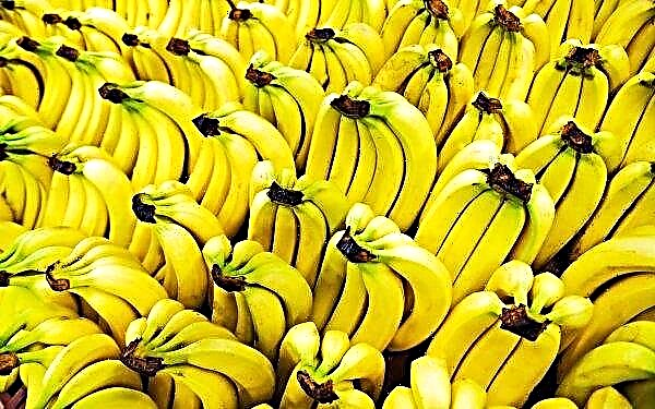 Dirty bananas provoke cancer!