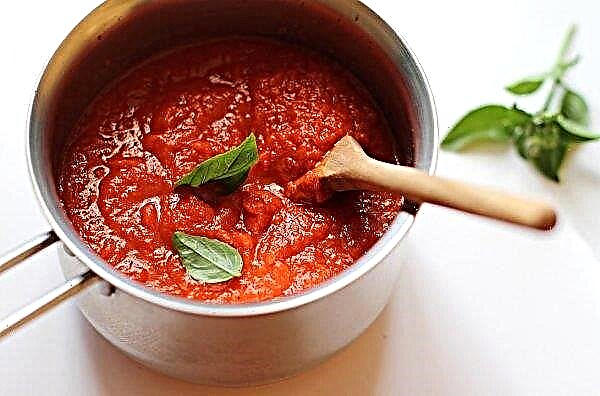 The leading producer of tomato paste in Ukraine harvested 588 thousand tons of tomatoes