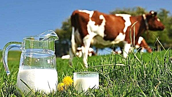 Produkce mléka na Ukrajině nadále klesá