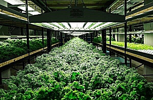 English online supermarket invests in vertical agriculture