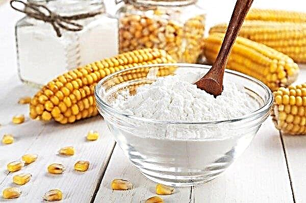 Na região de Kiev, haverá uma planta para a produção de amido de milho