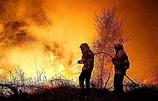 Την 1η Μαΐου, ένα μεγάλο συγκρότημα εκτροφής χοίρων κάηκε στην περιοχή της Οδησσού