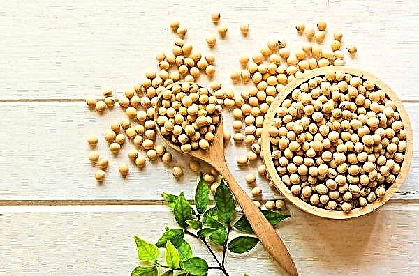 Índia planeja expandir área semeada com soja