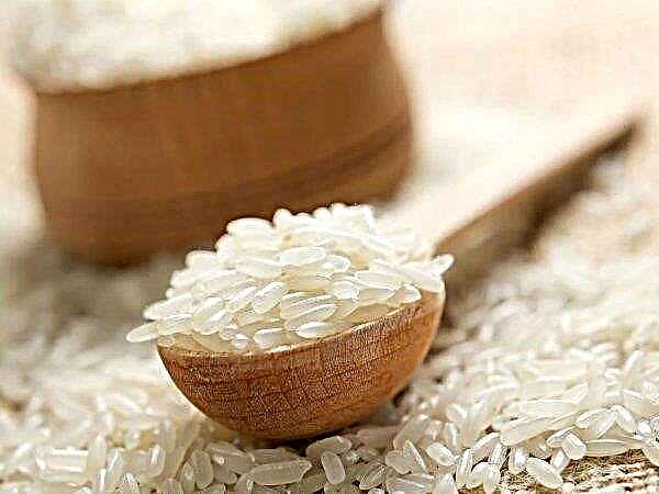 Ásia suspende exportação de arroz