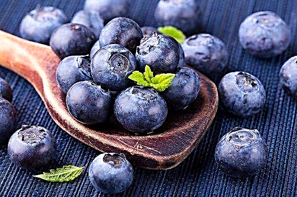 Ukrainian markets are flooded with radioactive blueberries