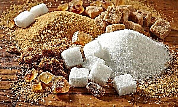 Fábricas de açúcar de Kuban estão prontas para o "calor" de agosto