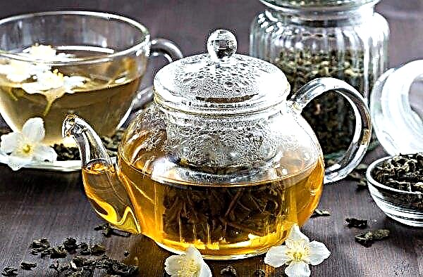 Russian tea growers cannot boast a high yield of tea leaf