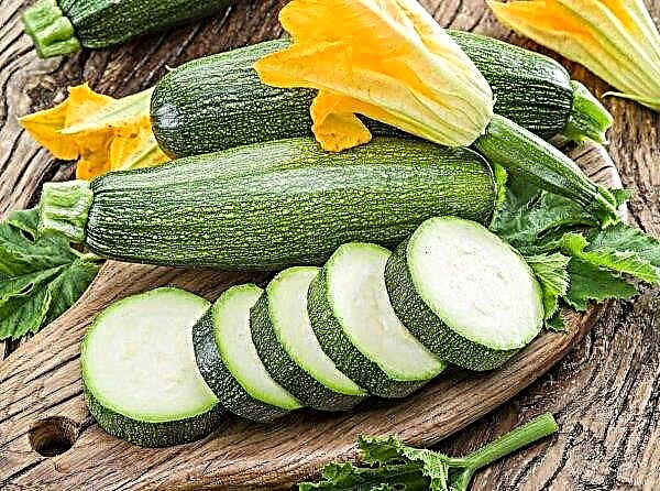Fristene våre er ikke for kjedsomhet: Penza straffedømte samler inn zucchini-høst